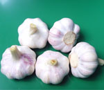 Fresh and dry garlic